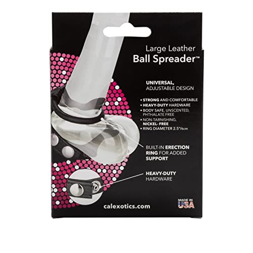 CalExotics Large Leather Ball Spreader with Built-In Erection Ring – Adjustable Scrotum Strap